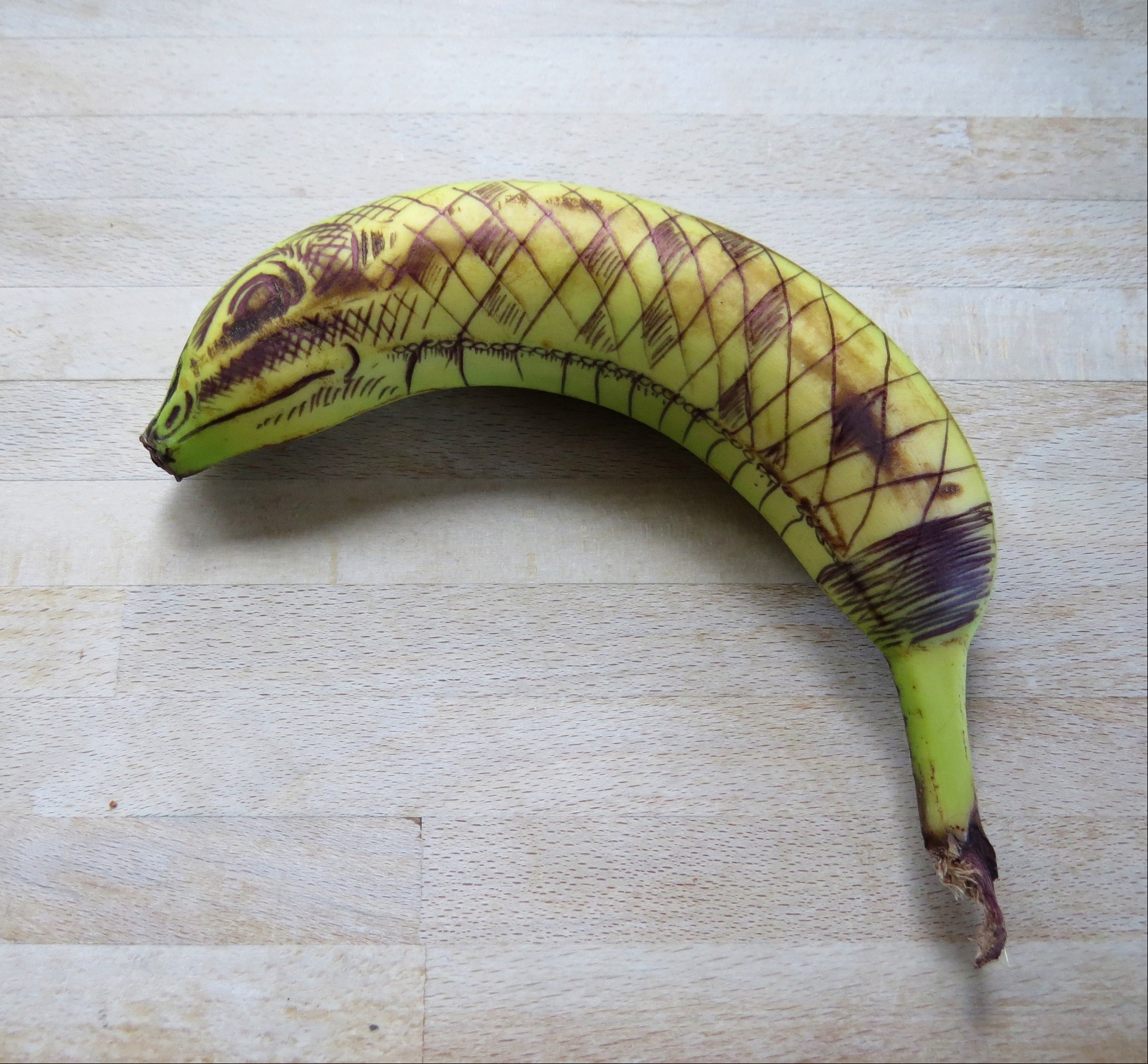A snake, a snake