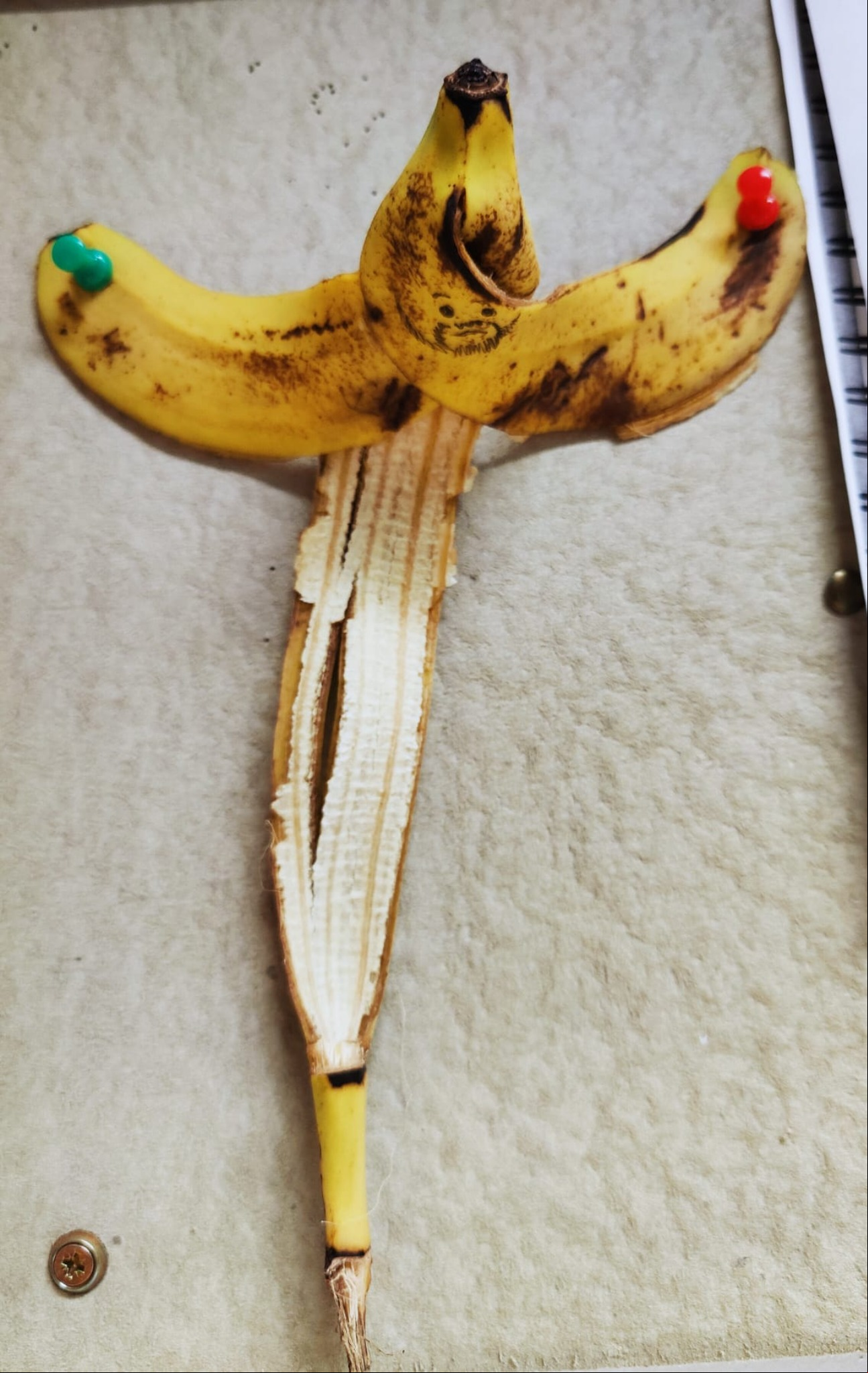 Respectfully, Banana Jesus