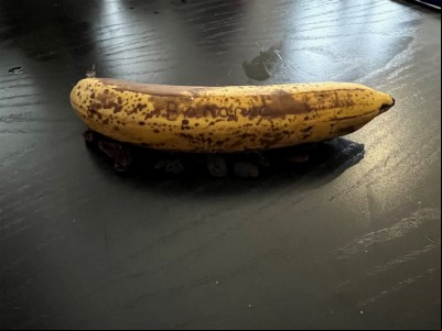 Raisin The Bananic