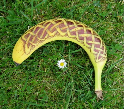 Knotwork In Nature