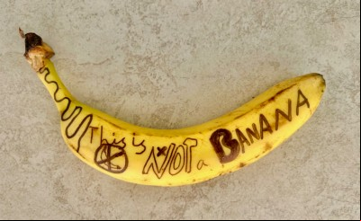This under no circumstances is a banana