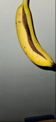 Banana Split