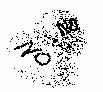 The No Potato