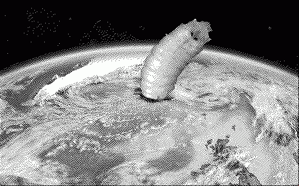 space maggot