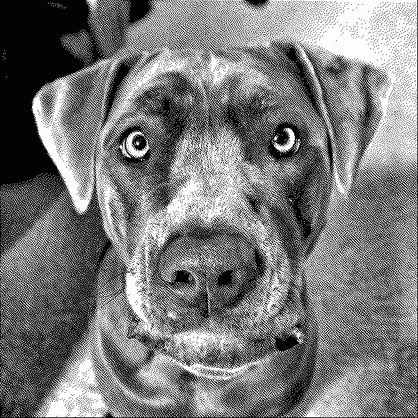 This is a dog, perhaps the greatest of dogs\.