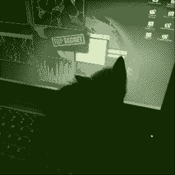 My Orange Kitten sitting in My Laptop, showing some Hacking Prank Site.