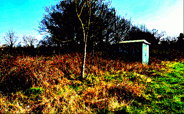 Fields