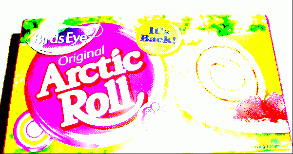 arctic roll