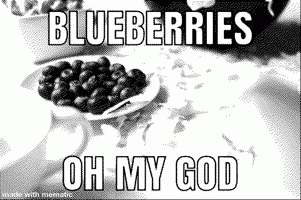 LOVE BLUEBERRIES, NOWWW.