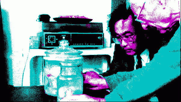 Kenji Sugimoto and Thomas Harvey look at Einstein’s brain in a jar