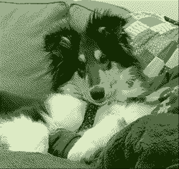 BOOM! You just got puppied.