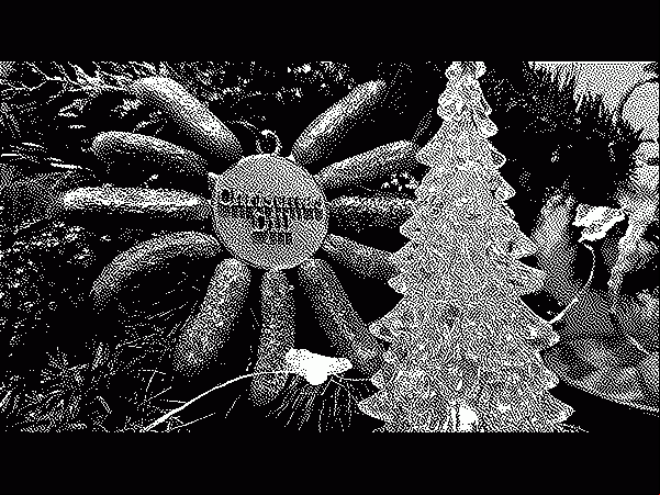 A Christmas ornament made from gherkins