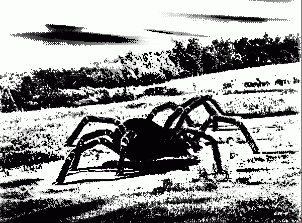 An implausibly huge spider chasing their former lover who did not buy 'Patastrophe\.