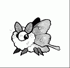COPY WHAT I SAY "I LOVE MOTH"