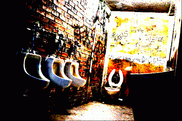 dublin public toilets