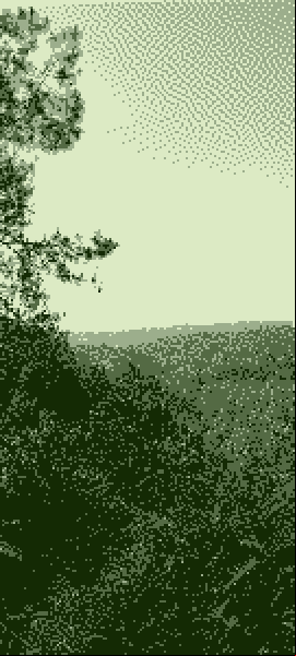 A view from the top