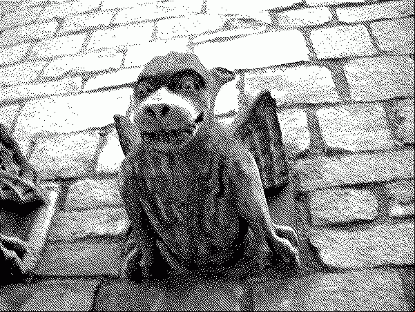 happy gagoyle