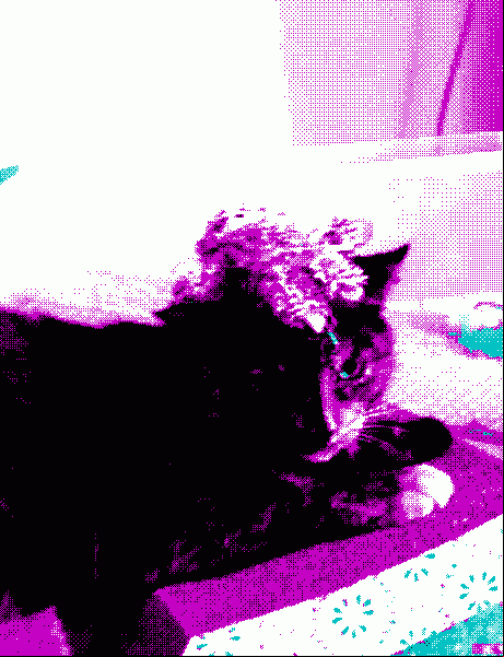 kevin