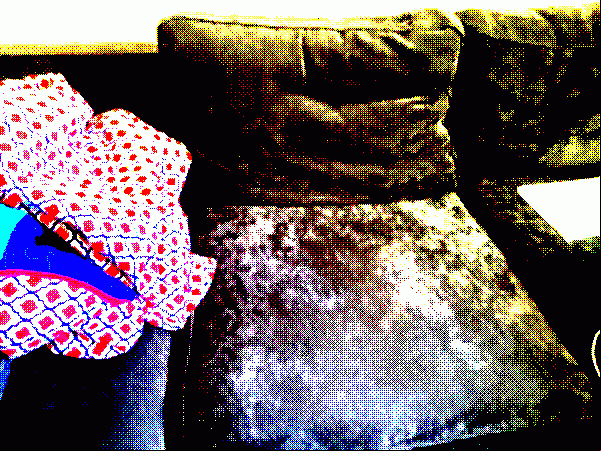On the couch
