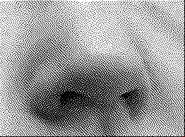 Your nose