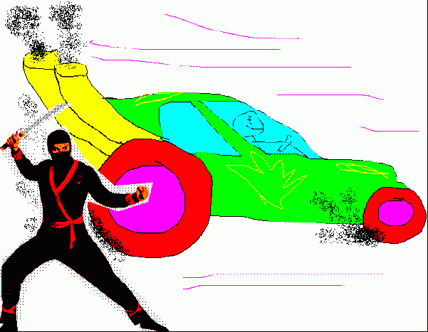NINJA AND CAR