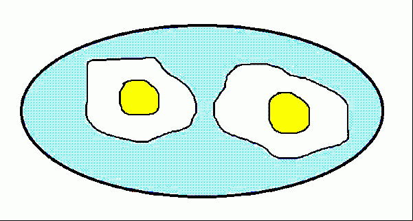 a plate of two fried eggs