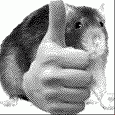 el rat who thumbs up at the idea of petris