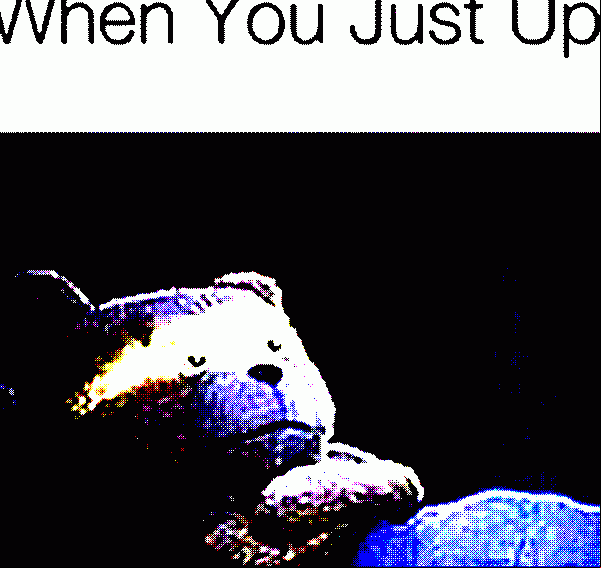 ...
