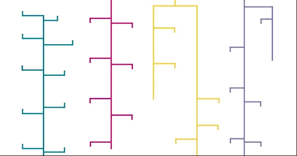 Dog Breeds Chart