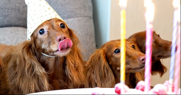 Happy Birthday To You public domain